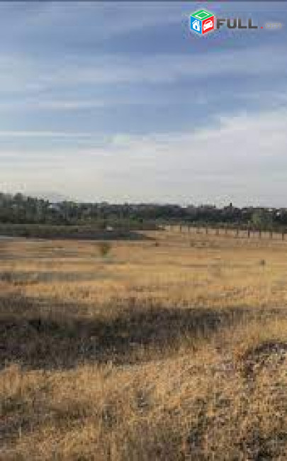 Երևանի հրապարակից 10կմ,Մերձավանում 1400քմ բնակելի նշանակությամբ,հարթ հող,փարաքարի ԳԱԻ-ից աջ 3կմ