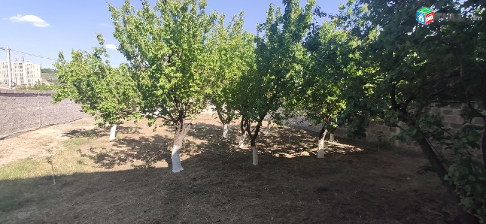 Նորակառույց 504քմ հող,այգի,244քմ 2 հարկանի տուն,ավտոտնակ,ամառային խոհանոց,4սան հանգույց,6սենյակ,Մուշ թողամաս