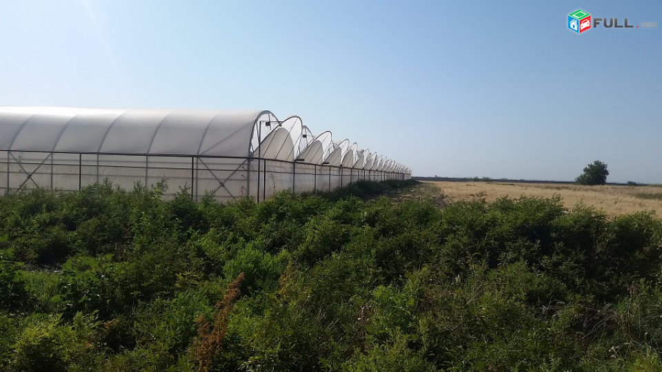 Ջերմոց, 8300քմ հող-5000քմ ջերմոց փչովի, գազ, եռաֆազ, ջուր, մեծամորում, ջրհոր, կողքից առու