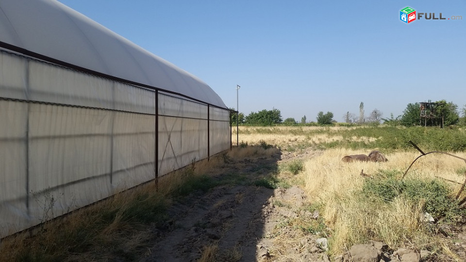 Ջերմոց, 8300քմ հող-5000քմ ջերմոց փչովի, գազ, եռաֆազ, ջուր, մեծամորում, ջրհոր, կողքից առու