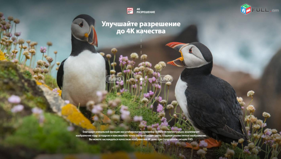 4K QLED Ultra HD 55" 138sm Toshiba 55C450KE 3840x2160 SMART HDR - նոր վիճակ 1 տարի երաշխիք
