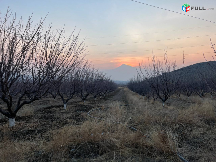 Գյուղատնտեսկան հողատարածք