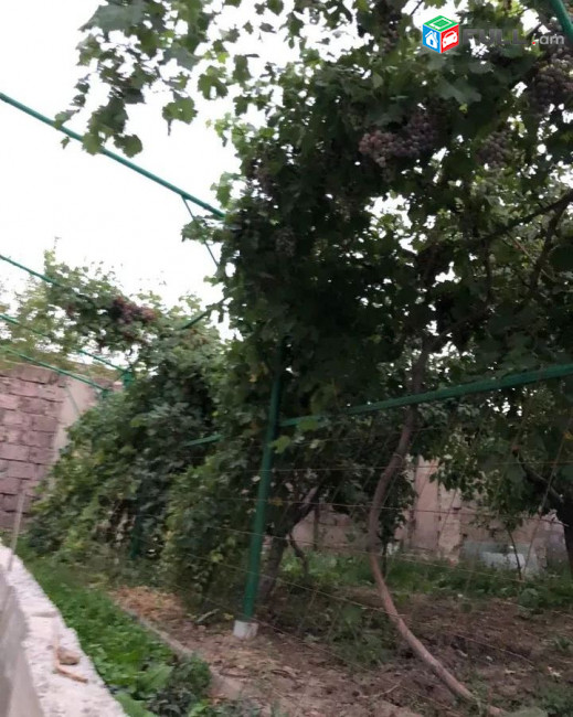 կօդ 4672