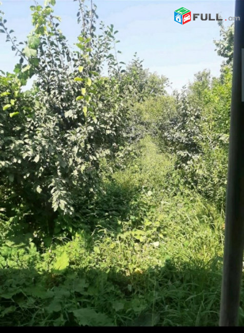 կօդ 6254