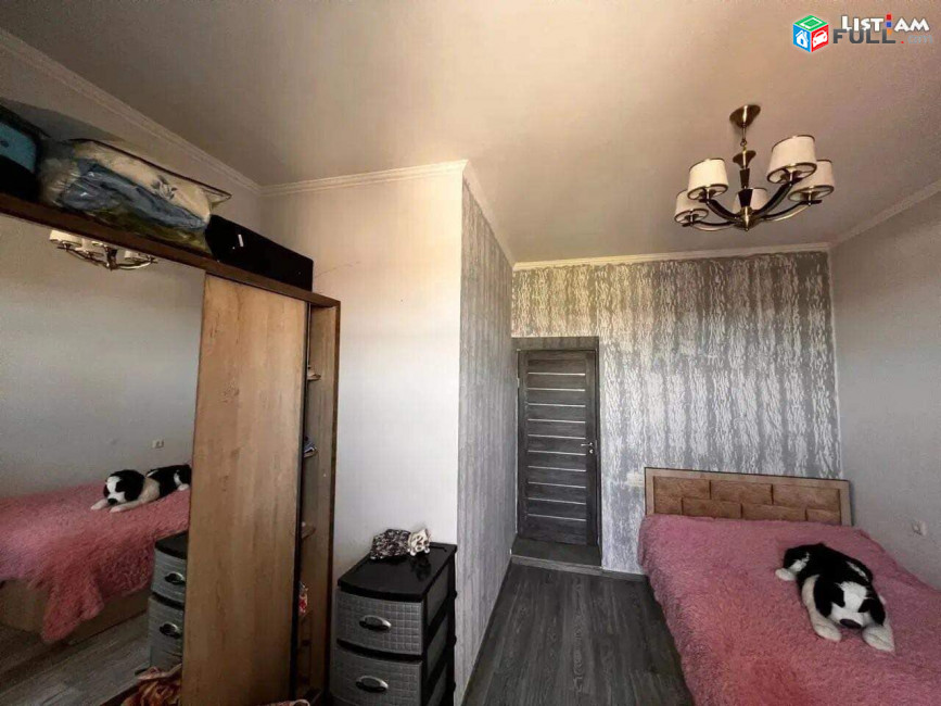 Կոդ 6491
