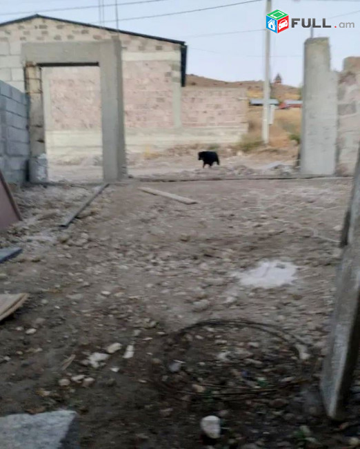 կօդ 8055