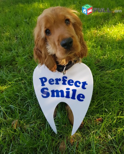 Perfect Smile Kids ՄԱՆԿԱԿԱՆ ԱՏԱՄՆԱԲՈՒԺԱՐԱՆ (նարկոզով բուժում)
