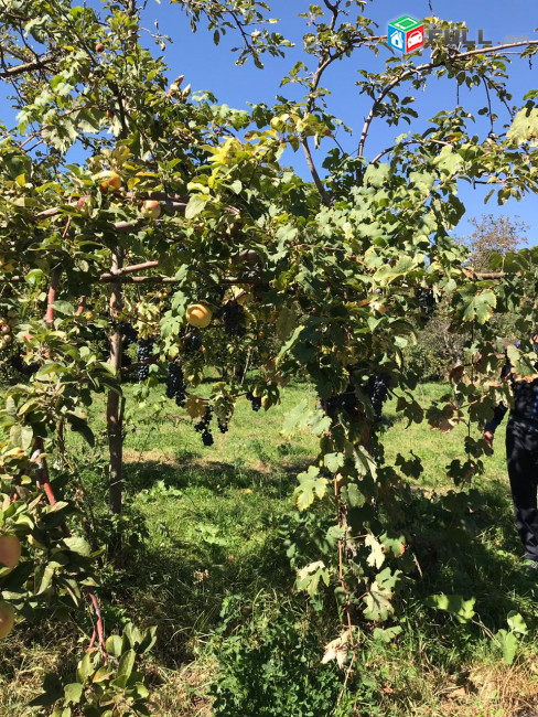 Одноэтажный каменный дом на ул. Баграмяна в Гарни, 84 кв.м., большой участок