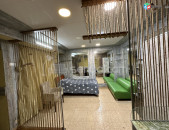 1 Սենյականոց Բնակարան, 24քմ, 1/14 հարկ, Կապիտալ Վերանորոգված, Կահավորված