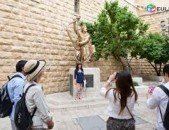 Jerusalem tours from Erevan,Israyel,Betlehem,Nazaret,Galilea.....Visit the land of the bible