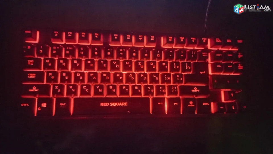 Профессиональная клавиатура RS TESLA TKL