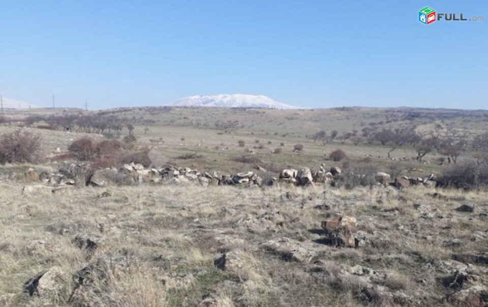 Տնամերձ հողատարածք