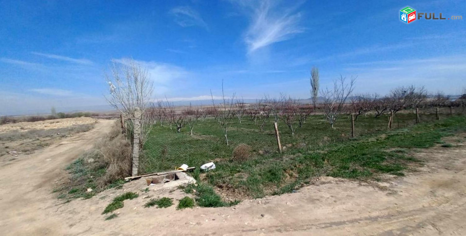 Տնամերձ հողամաս Պտղատու Այգի 