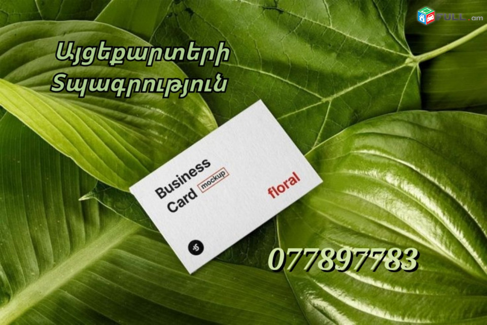 այցեքարտ vizitka տպարան 