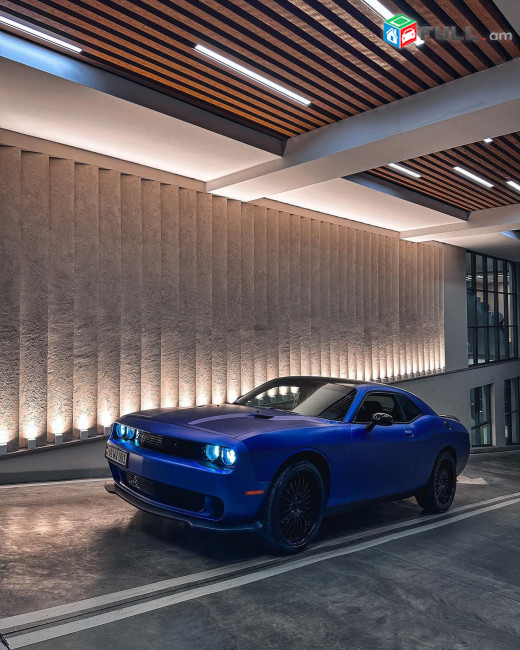 Dodge Challenger for rent прокат машин ավտովարձույթ на аренду rent car