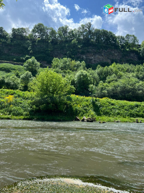 Տնամերձ 