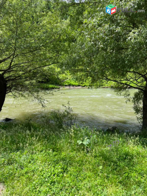 Տնամերձ 