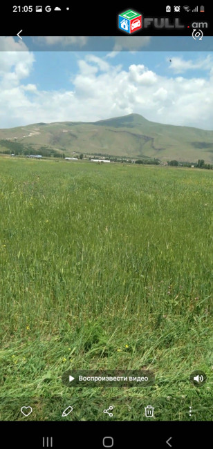 Վարելահող