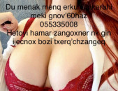 Handipum mersum