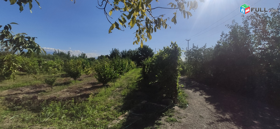 Սիփանիկ, քարե տուն, նկուղ 50քմ, 271քմ տուն 5 սենյականոց, 2 խոհանոց, 2 հյուրասենյակ, 2տեղանոց ավտոտնակ, գոմ, 3 ննջարան, 2600քմ այգի, դիմացը 1400քմ