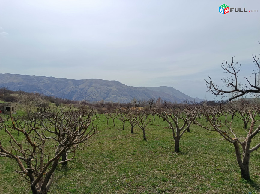 Հողատարածք Գառնիում, ընտիր տեղ