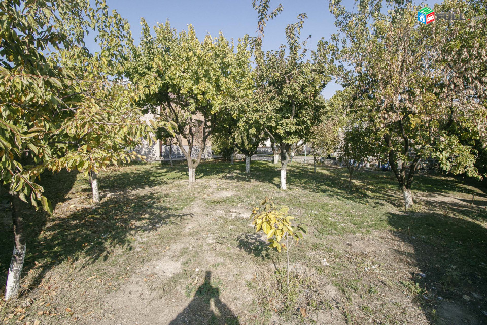 Սիսվանի փողոց Կիլիկիա թաղամաս ։ Сисвани улица Киликия район. Sisvani street, Kilikia district.
