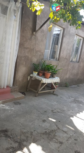 Արարատի մարզ, գյուղ Բարձրաշեն / 2000քմ / 120քմ