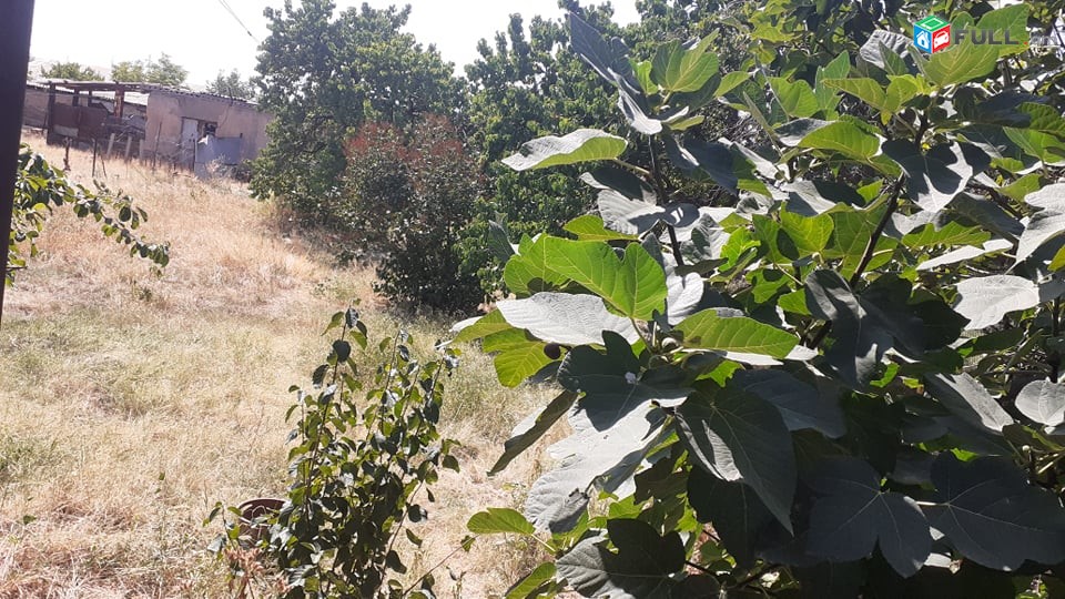 Արարատի մարզ, գյուղ Բարձրաշեն / 2000քմ / 120քմ