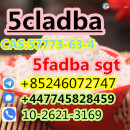 sfdrxhgf sdygfd