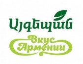 Գլխավոր տեխնոլոգ