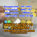 Top Quality BPC-157 fitness raw powder cas:137525-51-0 Door to Door