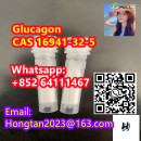 Glucagon CAS:16941-32-5