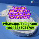TAMOXIFEN Novaldex Mammaton amoxifen CAS 10540-29-1 CAS 2363-59-9 CAS 54965-24-1