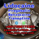 Lidocaine Tianeptine pregabalin raw Powder 137-58-6 China Factory