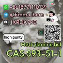 CAS 593-51-1 Methylamine hcl safe delivery telegram:@Emmachem