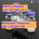 MOTS-C Peptide CAS 1627580-64-6 10mg 10Vials
