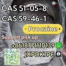 Hot sell CAS 59-46-1 procaine ready stock safe delivery whatsapp:+8618771110139