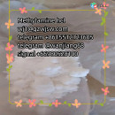 Metonitazene  Protonitazene  telegram/signal +8615512123605 