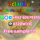 China factory supply 5cladba low price 