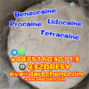 Europe Supplier of Benzocaine powder