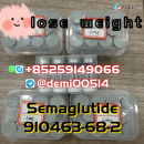 2mg 5mg 10mg peptide Palmitoyl Tripeptide-1 CAS 147732-56-7 