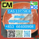 CAS 137-58-6 Lidocaine high quality good price hot sale stock