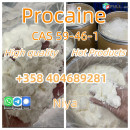 High Purity Cas 59-46-1 Procaine Powder Procaine Base Ship Worldwide